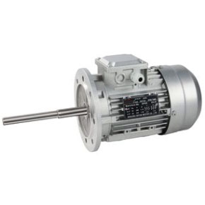 Stainless Steel Long Shaft Motor