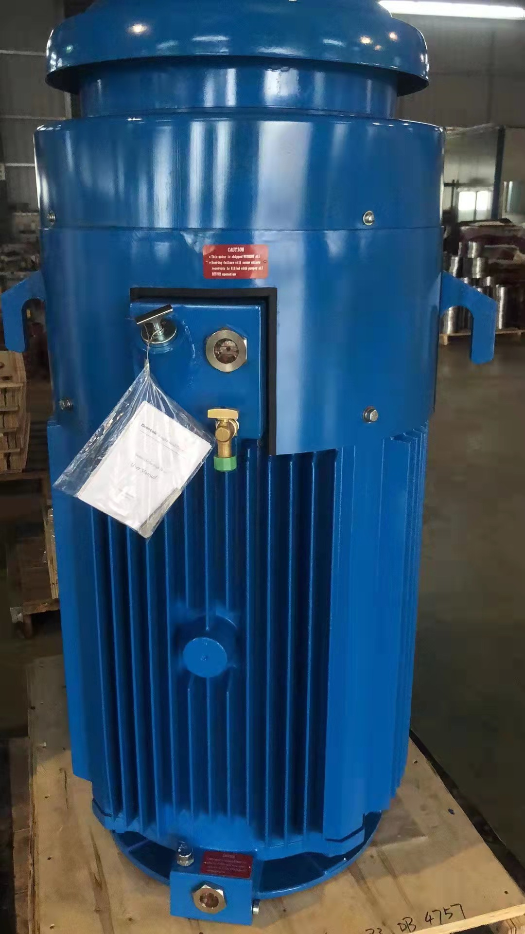 Vertical Hollow Shaft Pump Motor