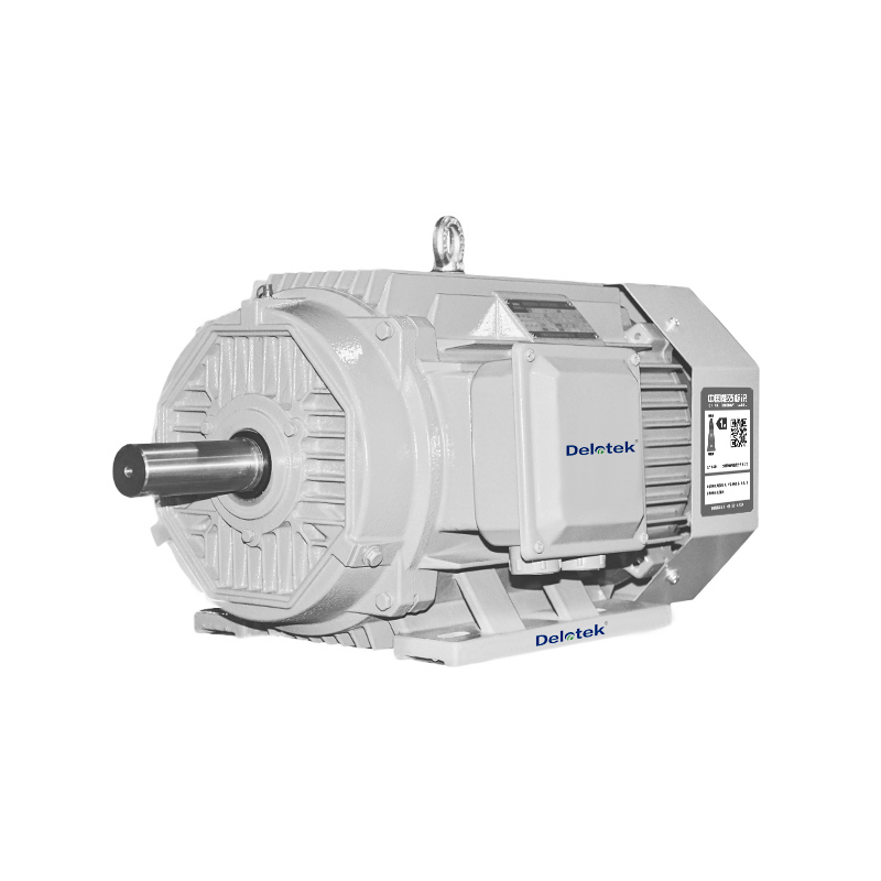 IE5 Super Efficiency Motor