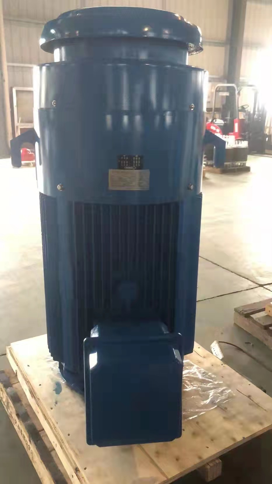 Vertical Hollow Shaft Pump Motor