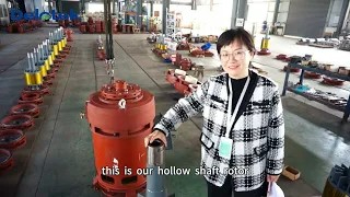 Vertical Hollow Shaft Motors