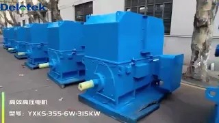 YXKS 315kw high voltage motors ready for shipment