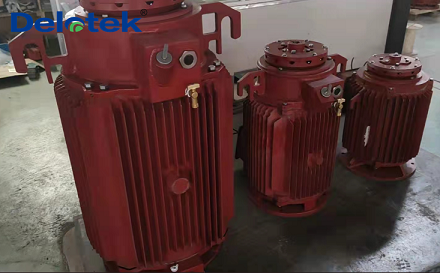 high voltage vertical hollow shaft motor test