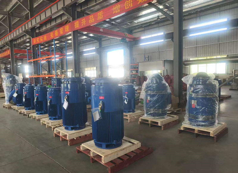 How to Install and Adjust VHS Motors on Deep Well Turbine Pumps?